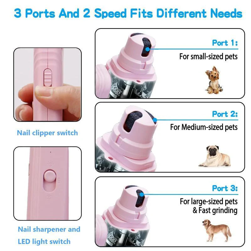 AD - 2 in 1 Pet Nail Clippers with Led Light Dog Cat Special Blood Line Scissors Multifunction Animals Paw Nail Trimmer Pet Supplies