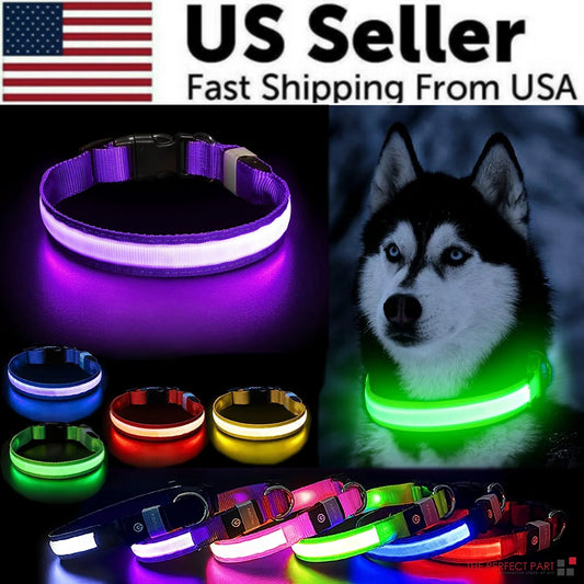 AD - LED Adjustable Dog Collar Blinking Flashing Light up Glow Pets Safety Waterproof