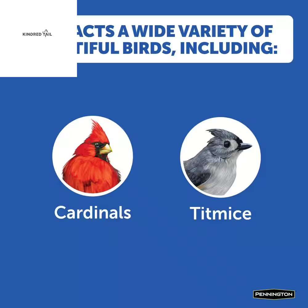 40 Lb. Wild Bird Seed Food, Wild Bird Seed Mix40 Lb. Wild Bird Seed Food – Premium High Energy Wild Bird Seed Mix for Backyard Feeders, Attracts Cardinals, Chickadees, Finches & More