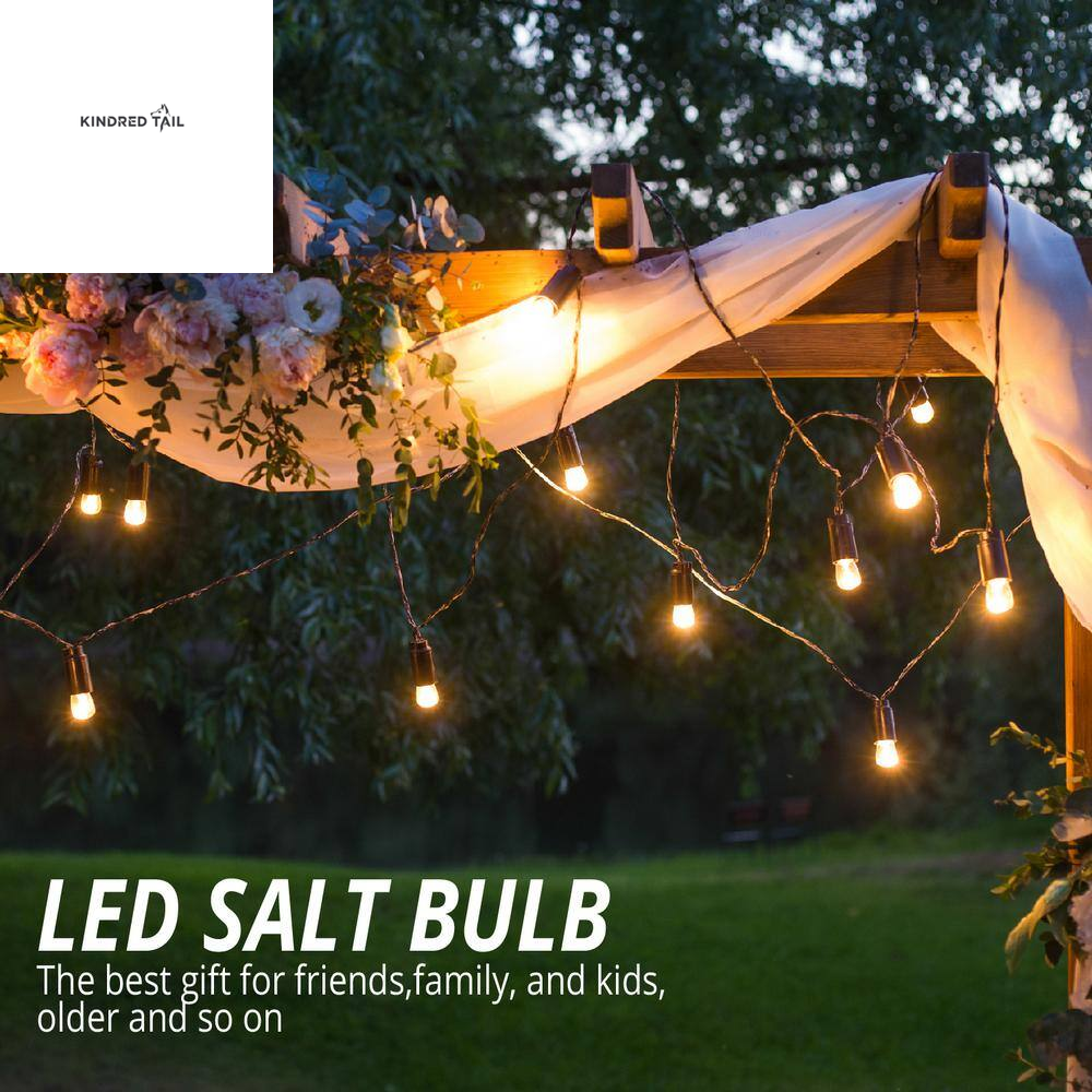 H-7W A19 LED Pink Salt Night Light Bulb, Warm Amber Glow Edison Style Decorative Light, Soft Mood Lighting for Bedroom, Bathroom & Living Room, Standard E26 Base, Energy Efficient, Pack of 2