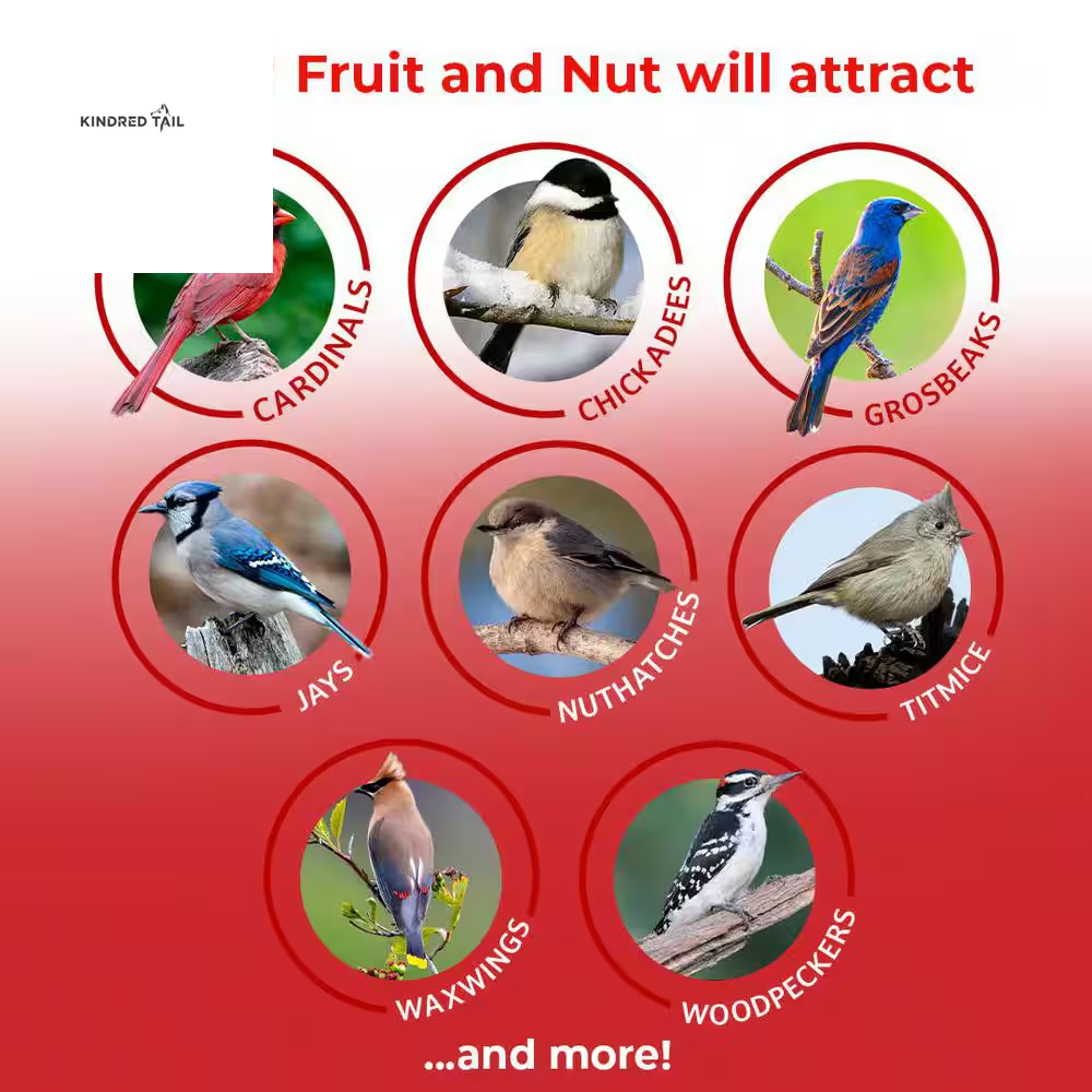 5 Lb. Fruit & Nut High Energy Wild Bird Food – Premium Bird Seed Mix for Backyard Birds, Attracts Cardinals, Blue Jays, Chickadees & More