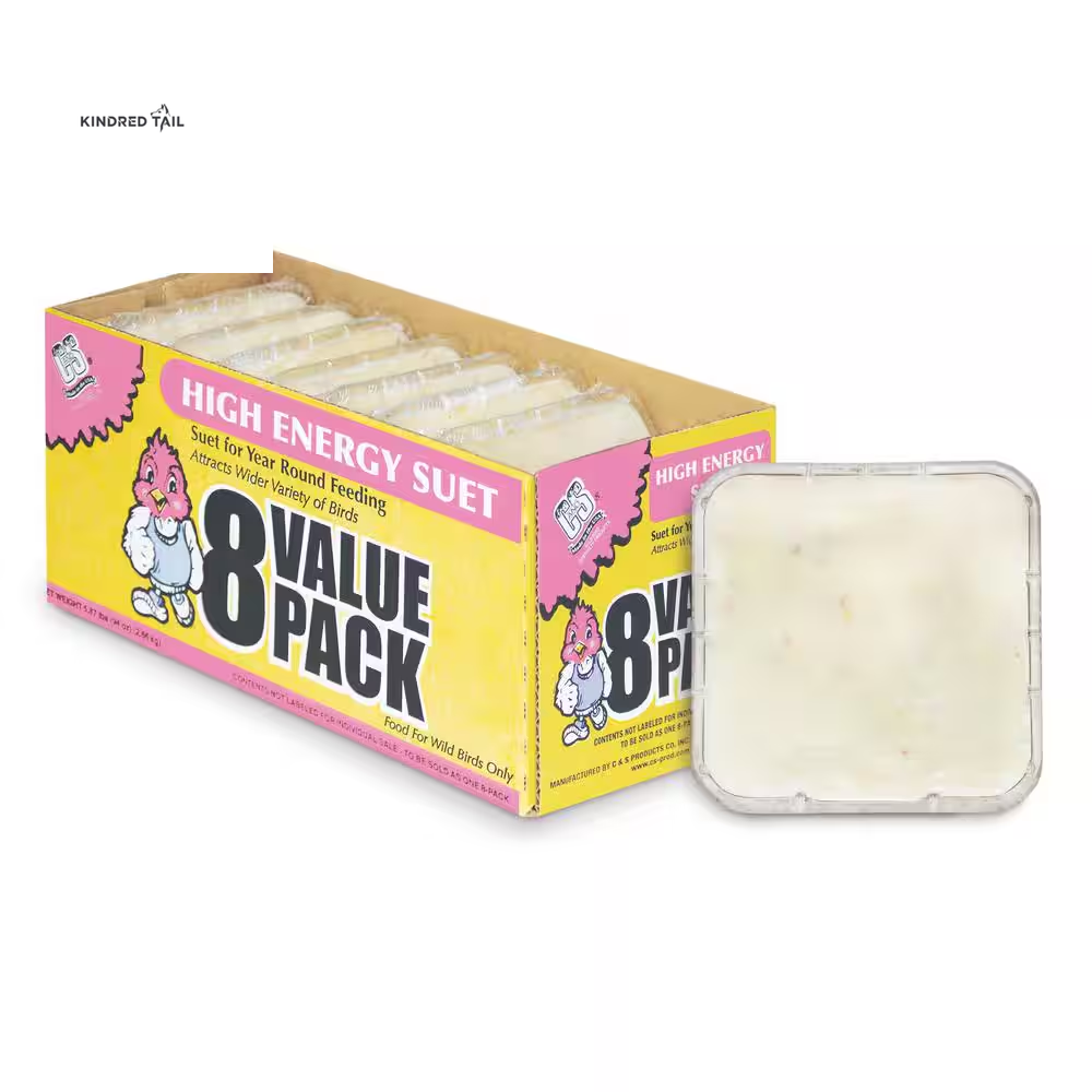 High Energy Suet Value 8-Pack – Premium Wild Bird Food Cakes for Backyard Feeders, Attracts Cardinals, Chickadees, Woodpeckers & More