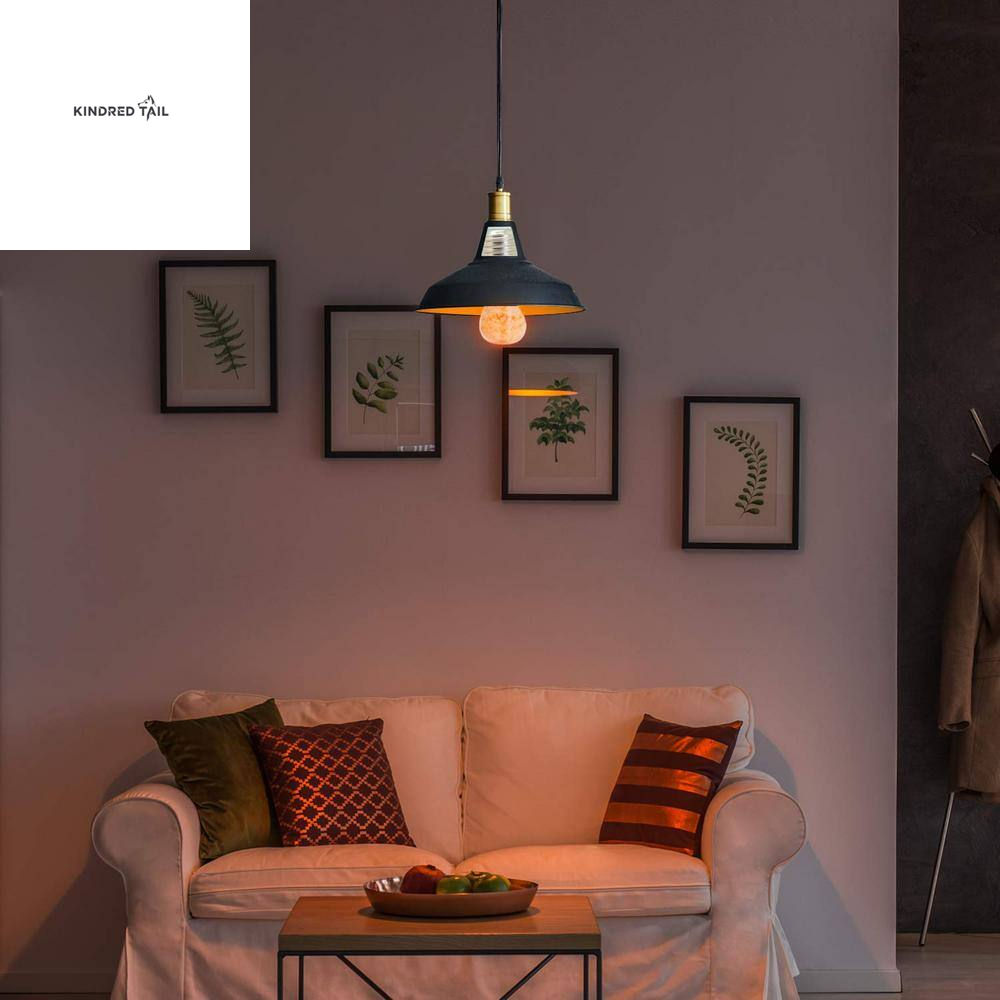 H-7W A19 LED Pink Salt Night Light Bulb, Warm Amber Glow Edison Style Decorative Light, Soft Mood Lighting for Bedroom, Bathroom & Living Room, Standard E26 Base, Energy Efficient, Pack of 2