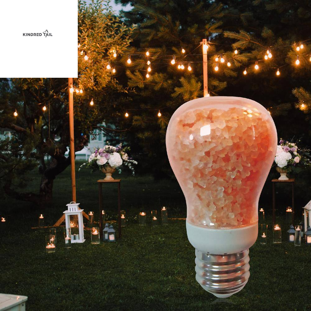 H-7W A19 LED Pink Salt Night Light Bulb, Warm Amber Glow Edison Style Decorative Light, Soft Mood Lighting for Bedroom, Bathroom & Living Room, Standard E26 Base, Energy Efficient, Pack of 2