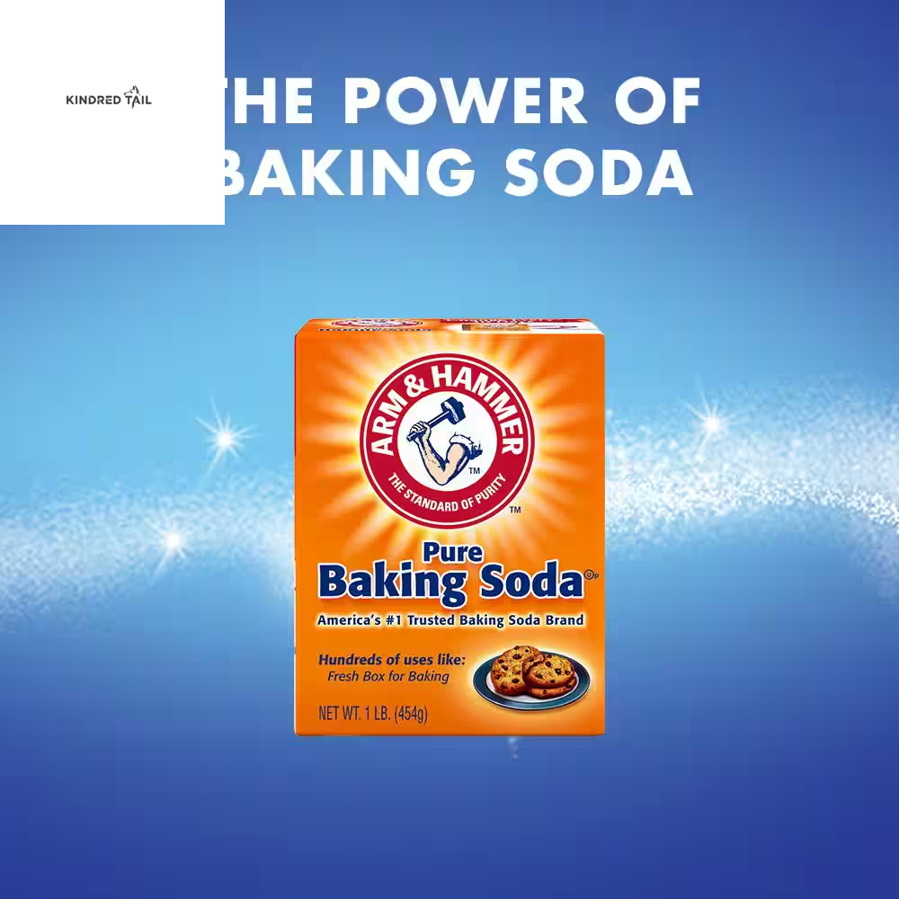 Pet Odor Eliminator Carpet Powder with Baking Soda – Deep Cleaning Carpet Deodorizer & Room Freshener, Removes Pet Smell, Smoke, Mildew & Mold, Lifts Pet Hair from Carpets, Rugs, Furniture & Pet Beds – Sunny Fresh Scentr