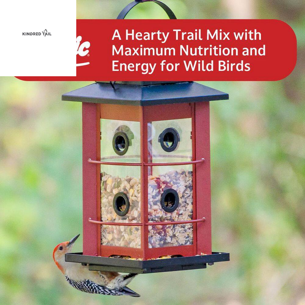 5 Lb. Fruit & Nut High Energy Wild Bird Food – Premium Bird Seed Mix for Backyard Birds, Attracts Cardinals, Blue Jays, Chickadees & More