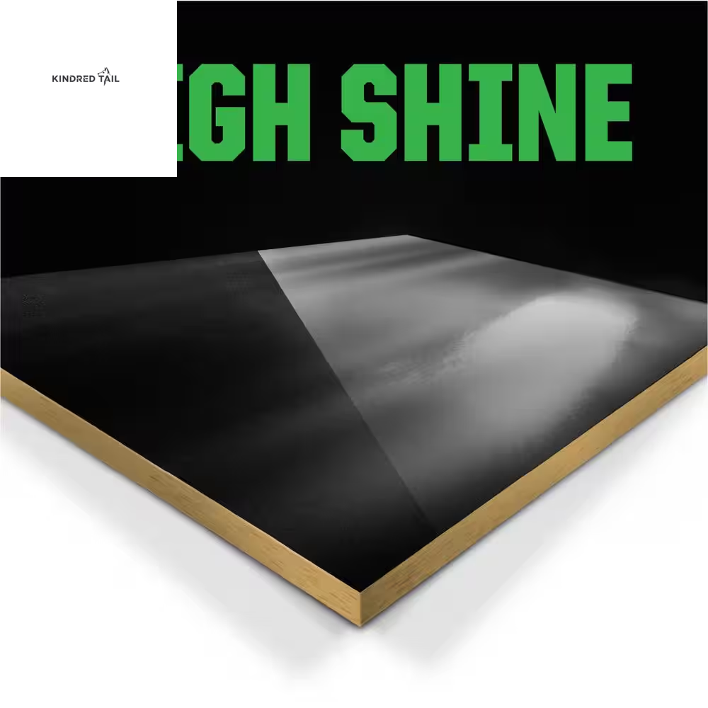 11 Oz. Gloss Black Lacquer Spray Paint