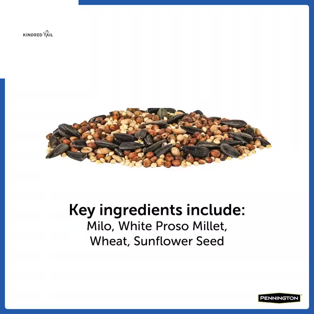 20 Lb. Wild Bird Seed Food – Premium High Energy Bird Seed Mix for Backyard Feeders, Attracts Cardinals, Chickadees, Finches & More