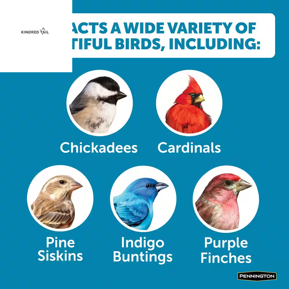 Ultimate 7 Lb. Songbird Blend Wild Bird Seed Mix – Premium High Energy Backyard Bird Food to Attract Cardinals, Chickadees, Finches & More