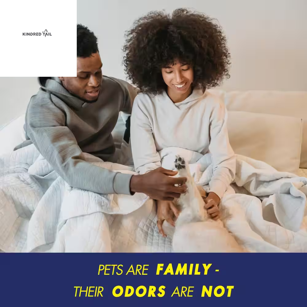 Pet Odor Eliminator Carpet Powder with Baking Soda – Deep Cleaning Carpet Deodorizer & Room Freshener, Removes Pet Smell, Smoke, Mildew & Mold, Lifts Pet Hair from Carpets, Rugs, Furniture & Pet Beds – Sunny Fresh Scentr