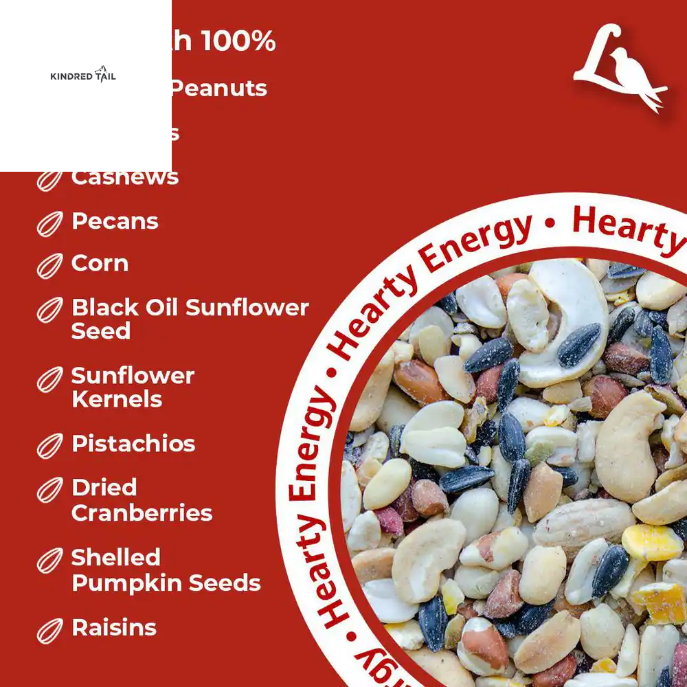 5 Lb. Fruit & Nut High Energy Wild Bird Food – Premium Bird Seed Mix for Backyard Birds, Attracts Cardinals, Blue Jays, Chickadees & More